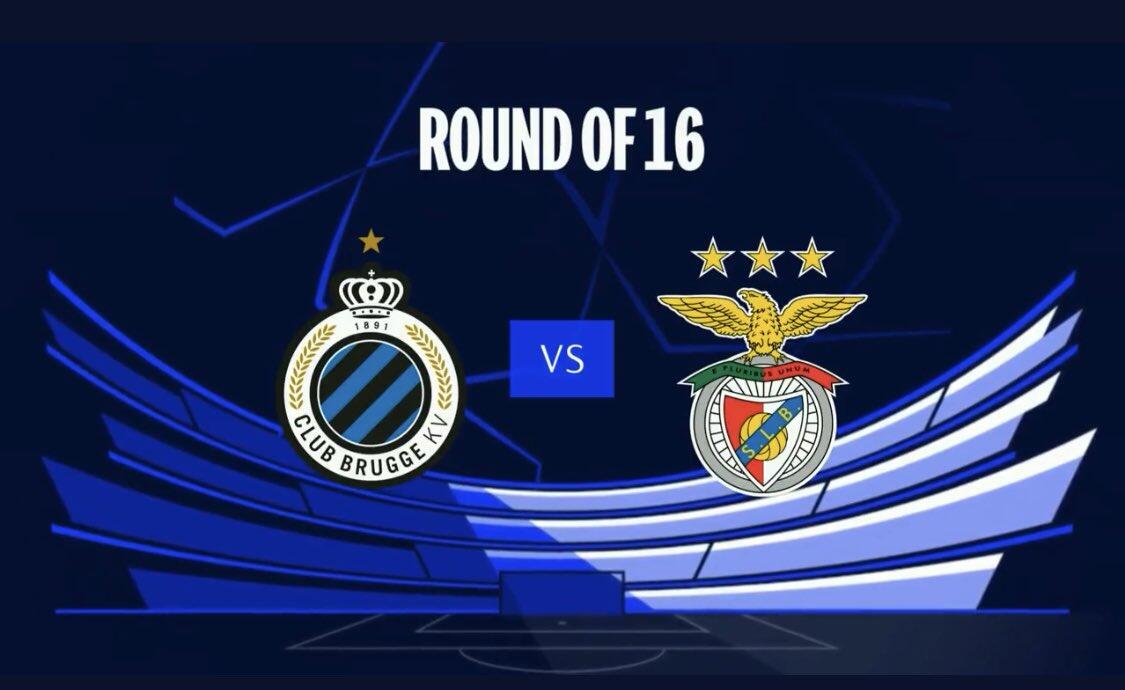 迷提供了无 迷提供了无