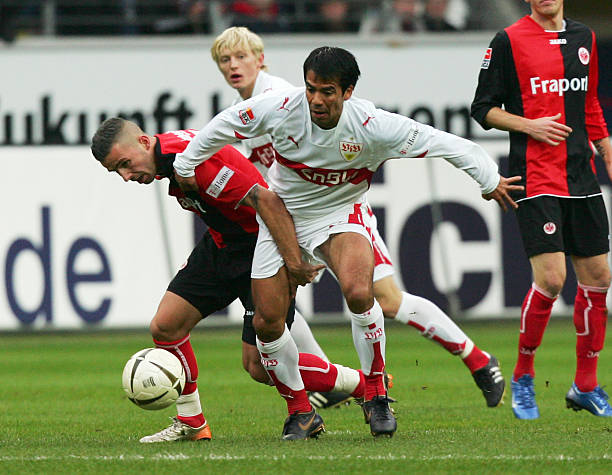 这次名单的 这次名单的